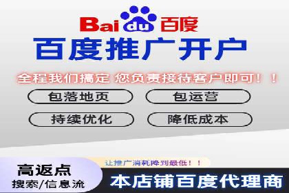 成功案例分享：托管竞价SEM优化策略